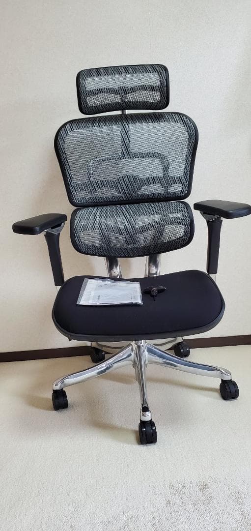 エルゴヒューマン プロ リクライニングチェア　モールド