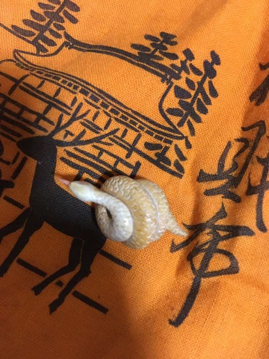 根付　蛇　最終値下げ価格