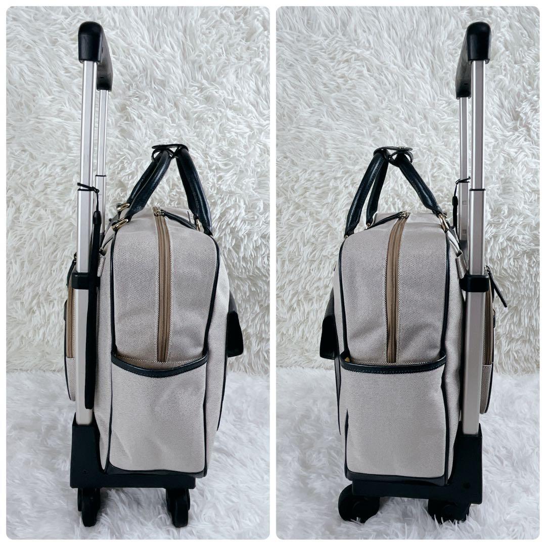 激レア 希少 未使用級 SWANY ピーターラビット コラボ キャリー バッグ