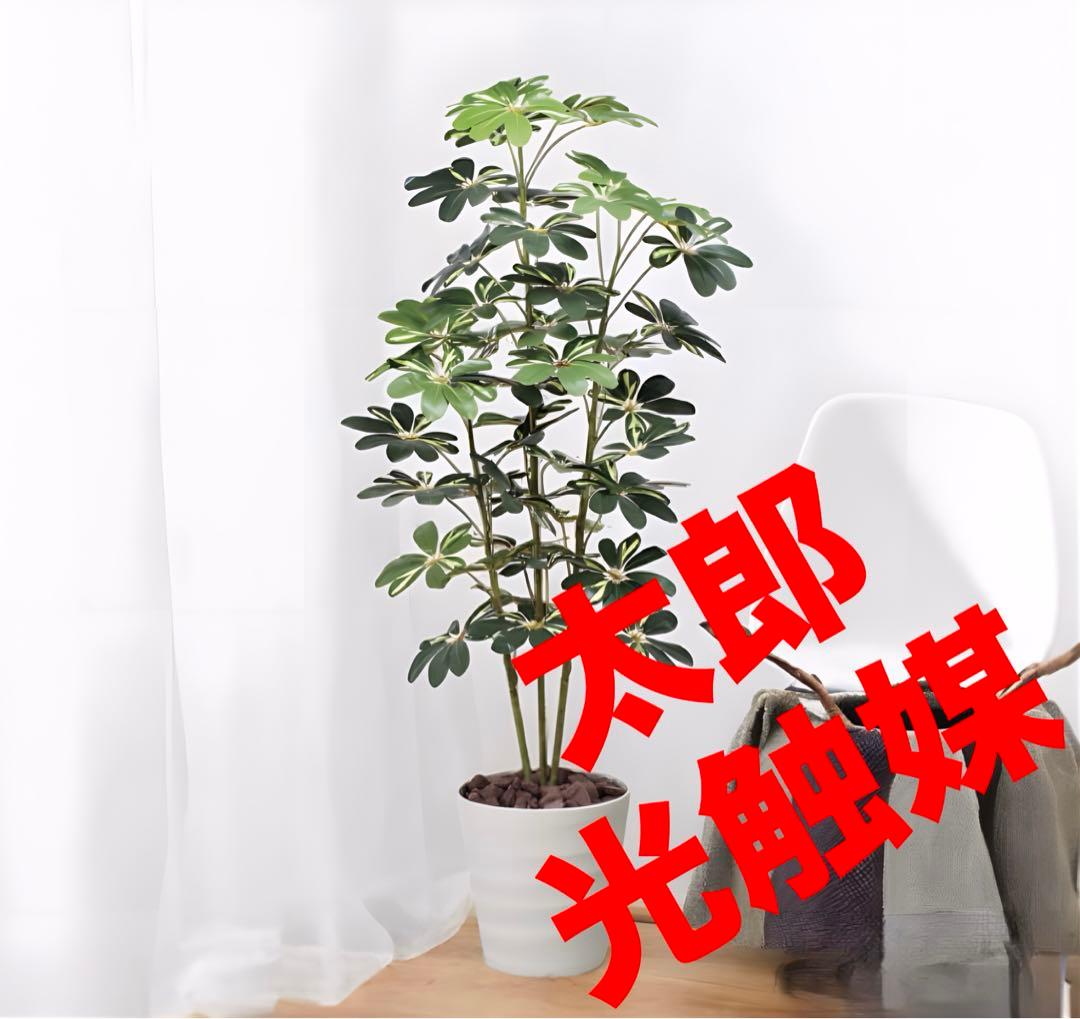 光触媒　人工観葉植物　ウォールグリーン　フェイクグリーン　カポック斑入リ1.5m