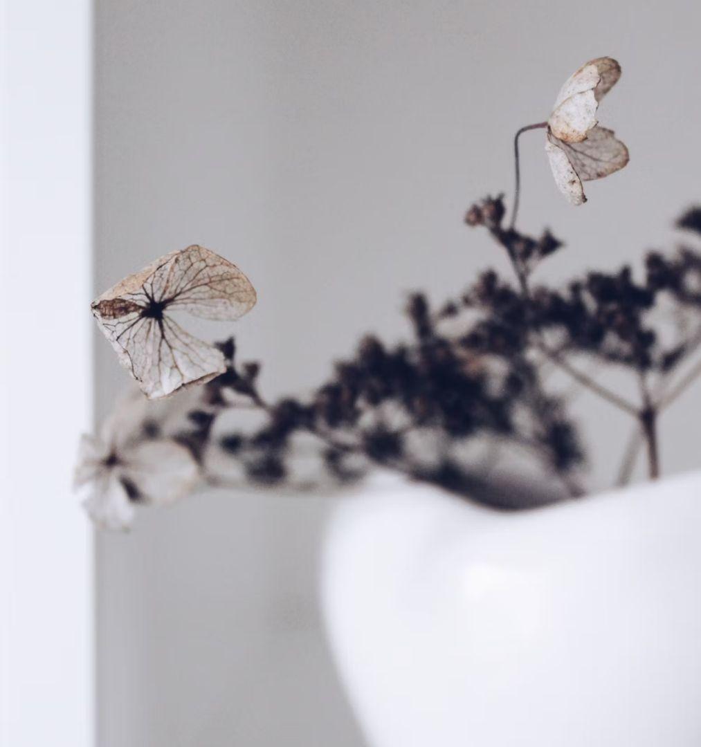 マノン様✾ガラス工芸✾ガラス作家✾吹きガラス✾高台クリスタル小鉢セット＆小石原焼