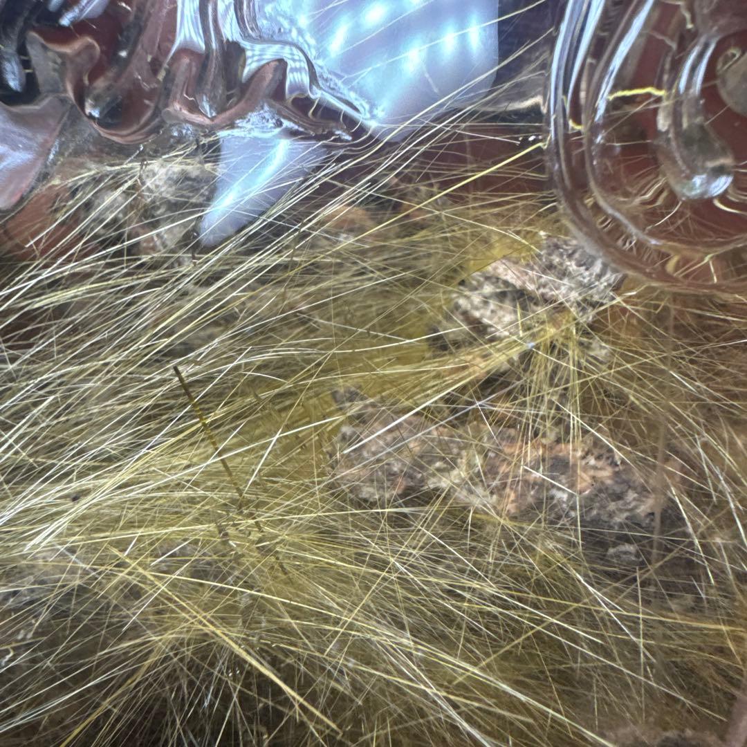 【極上品】ゴールドルチル 観音彫刻 台座付 1117g