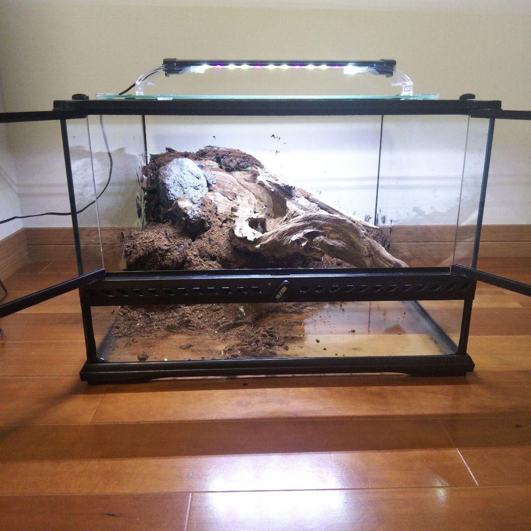 【受注生産】爬虫類飼育ケージ　テラリウム　ビバリウム