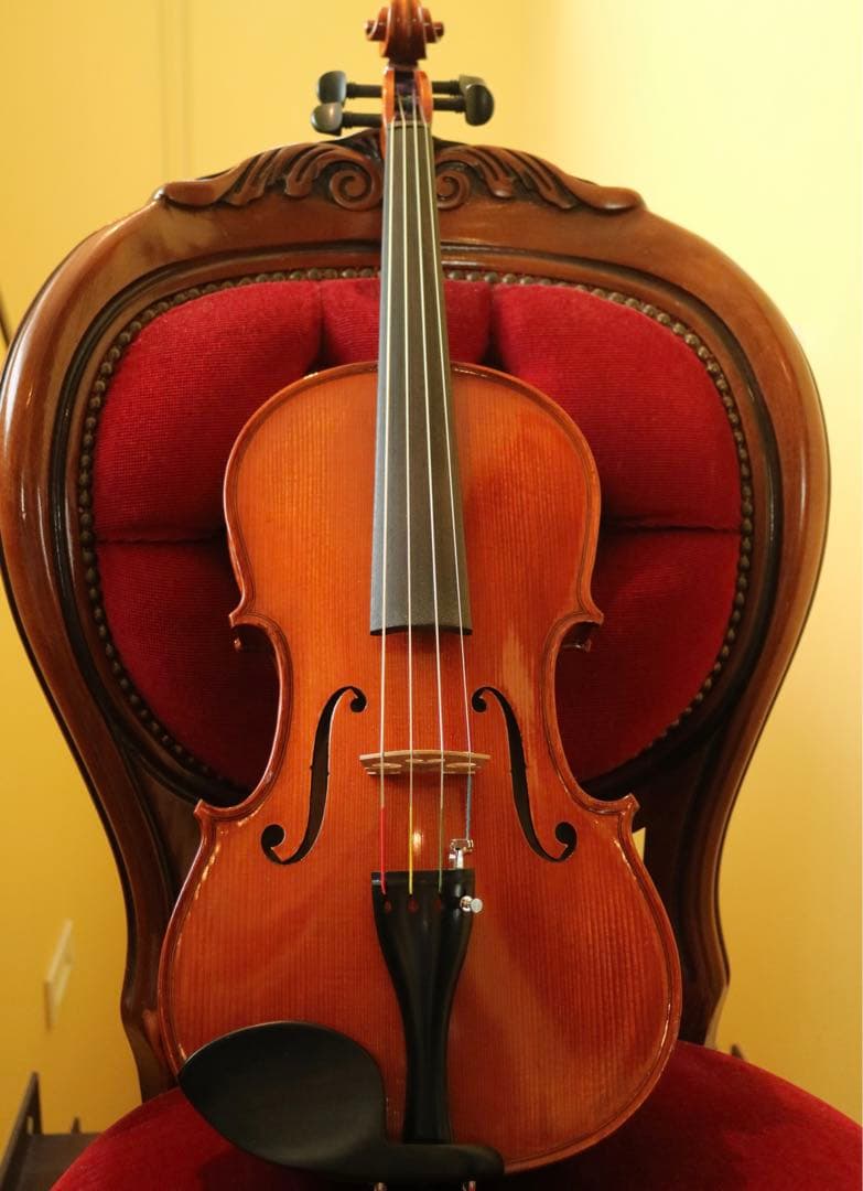 【みみちゃん】ビオラ 15.5 Gliga Gems Anno 2022