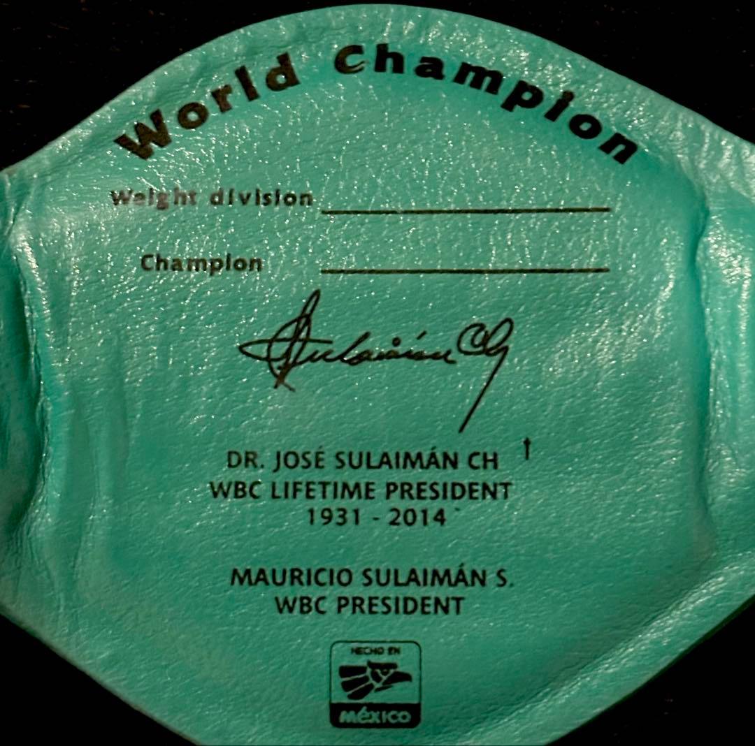 WBCミニ チャンピオンベルト ボクシング