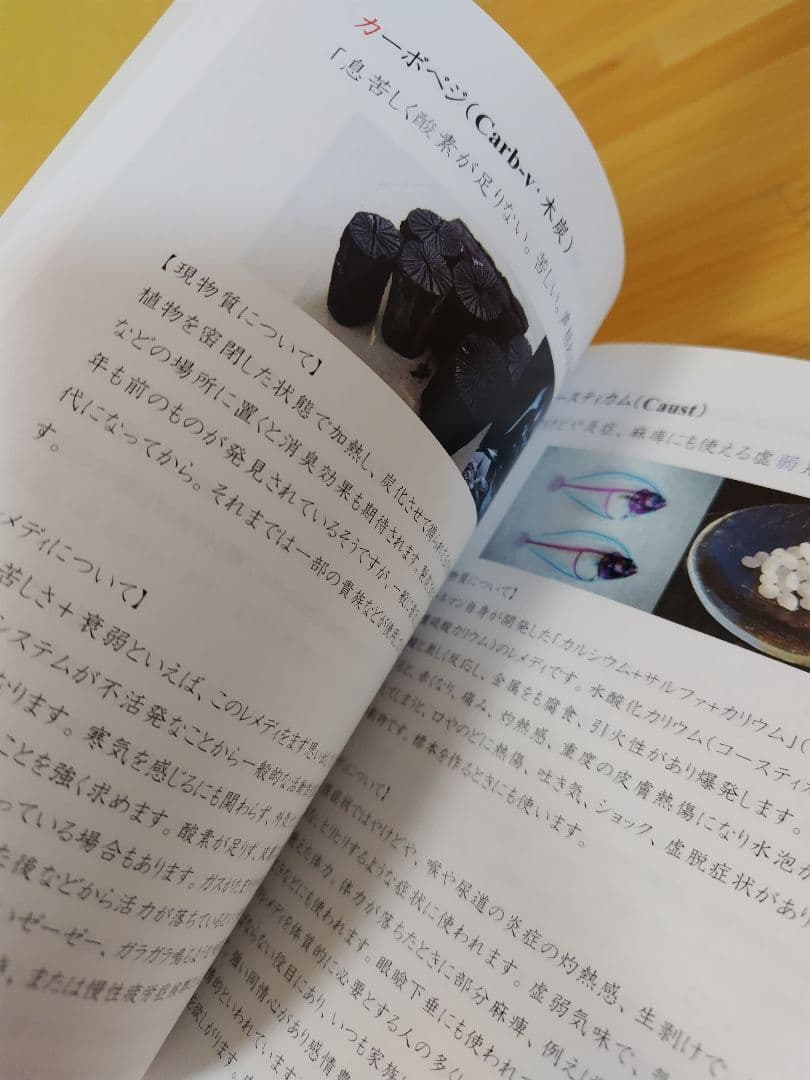 クラシカルホメオパシーのRECIPE、ART、ALLEN、VIDA４冊セット