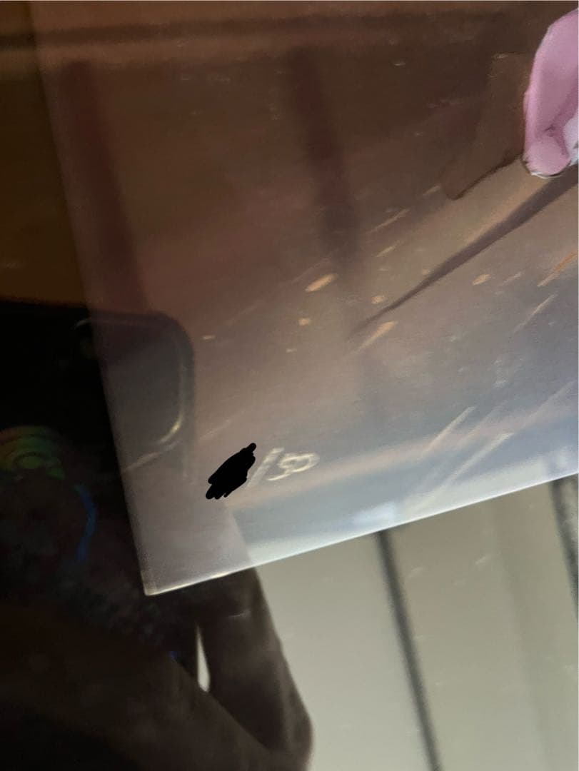 Anmi 版画 「舞台で」 直筆サイン・ロット番号入り