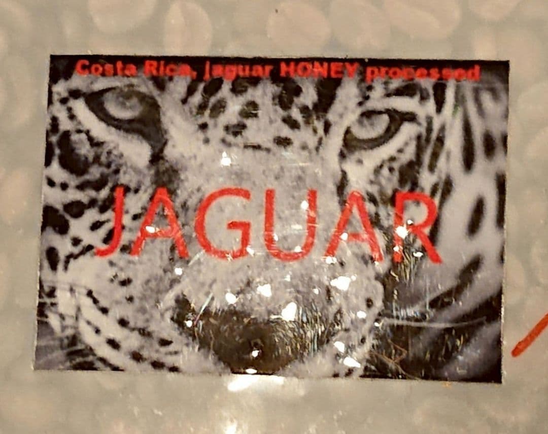 【みなっきー】【新品】コーヒー豆（生豆）コスタリカ