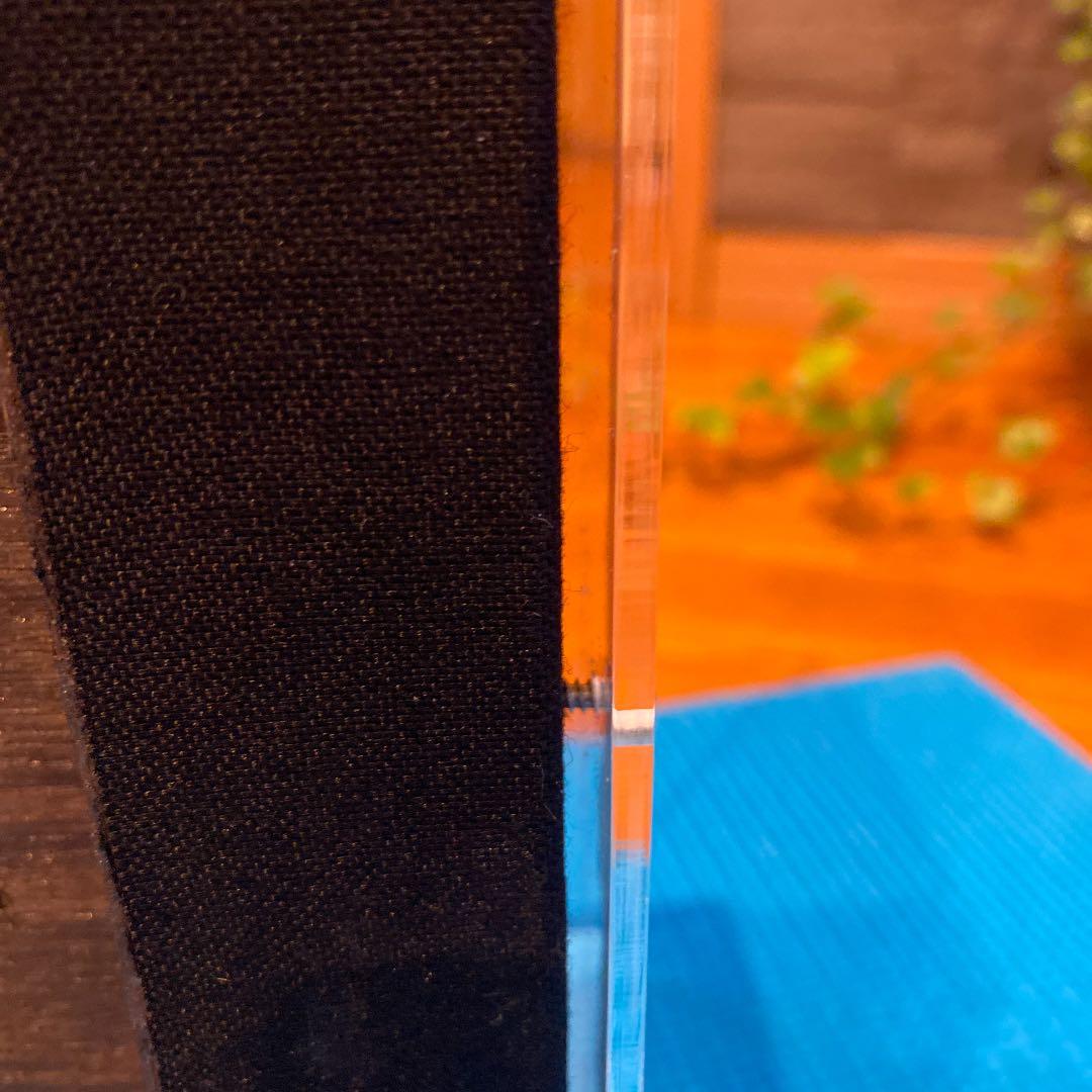 ブルームテールラス 海水魚 剥製