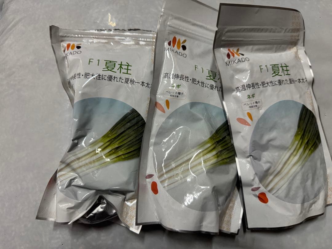 ネギ種子　夏柱　6000粒　有効期限26年９月