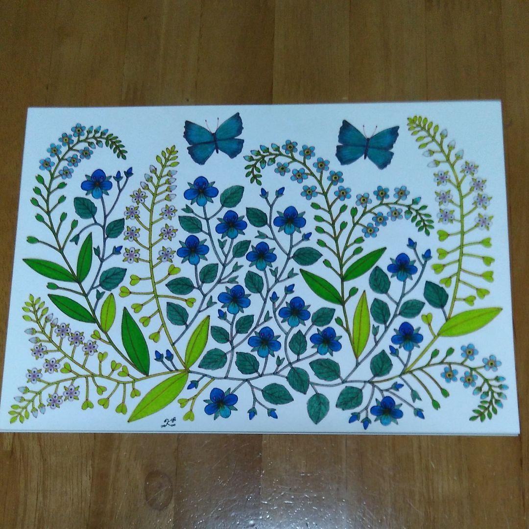 オオイヌノフグリ＊ナズナ＊キュウリグサ＊シジミチョウ♡植物画