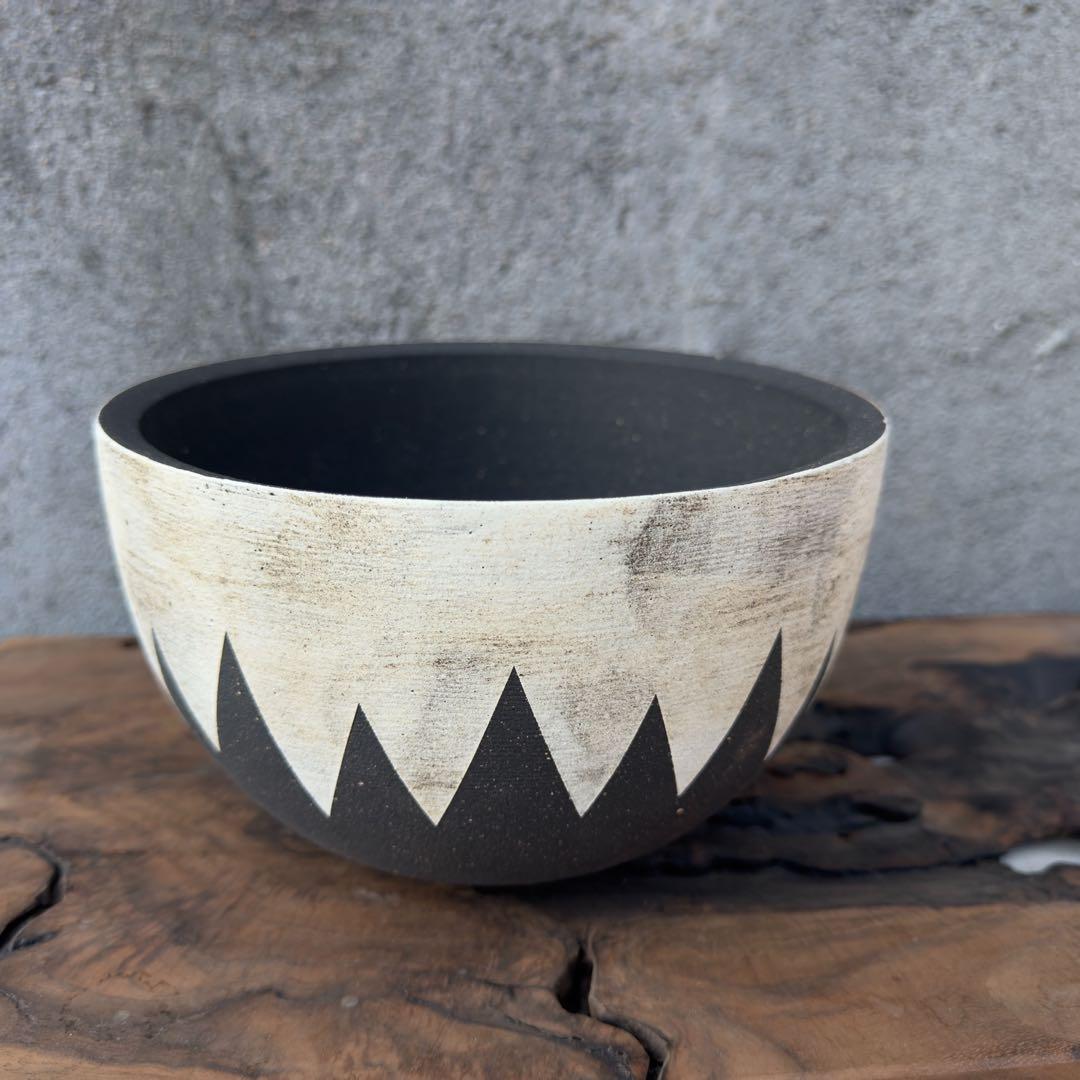 手作植木鉢 グラデーション植木鉢（ 塊根植物 グラキリス パキプス アガベ)