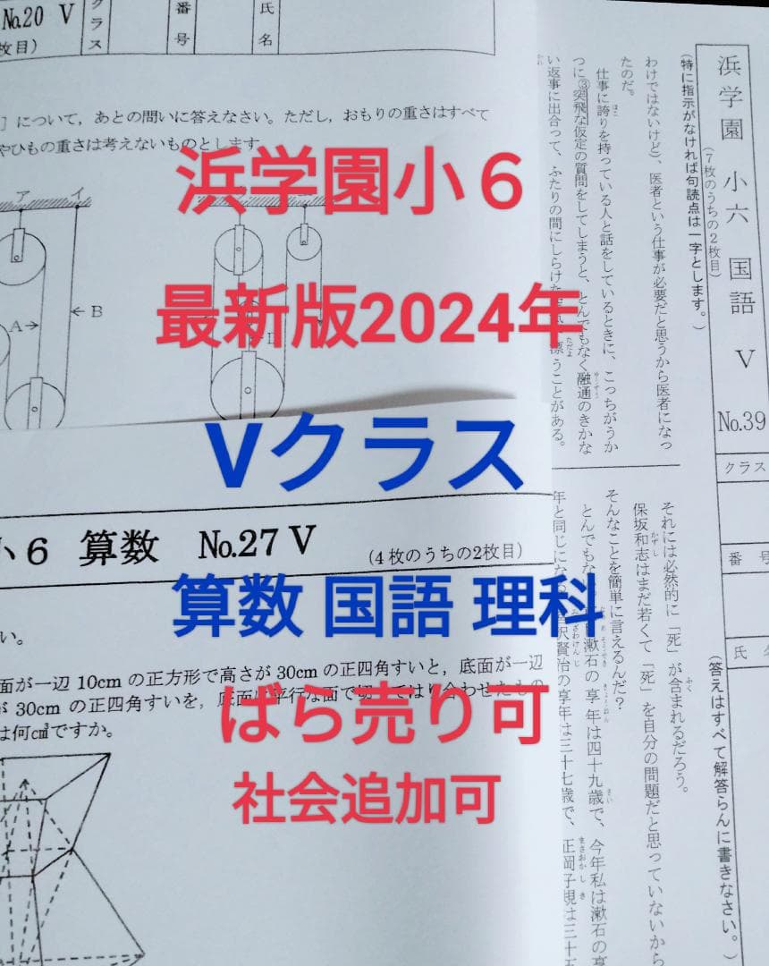 浜学園小6　最新版2024年　Vクラス　算数　国語　理科　1年分テスト　ばら売可