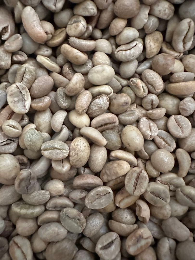 爆安!!【コーヒー生豆】ベトナム/ハニープロセス/ロブスタ5kg　 ※送料無料