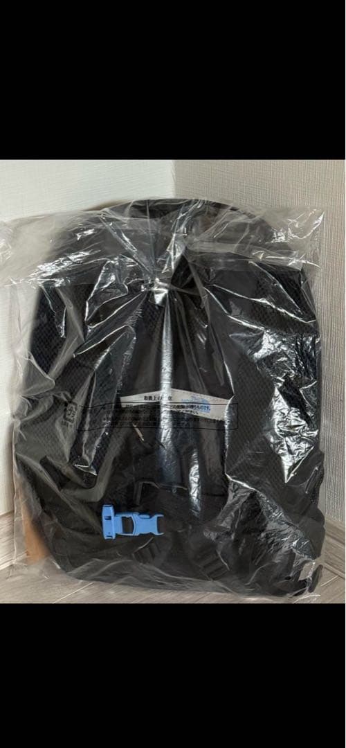 THE NORTH FACE SMALL DAY ブラックキッズリュック