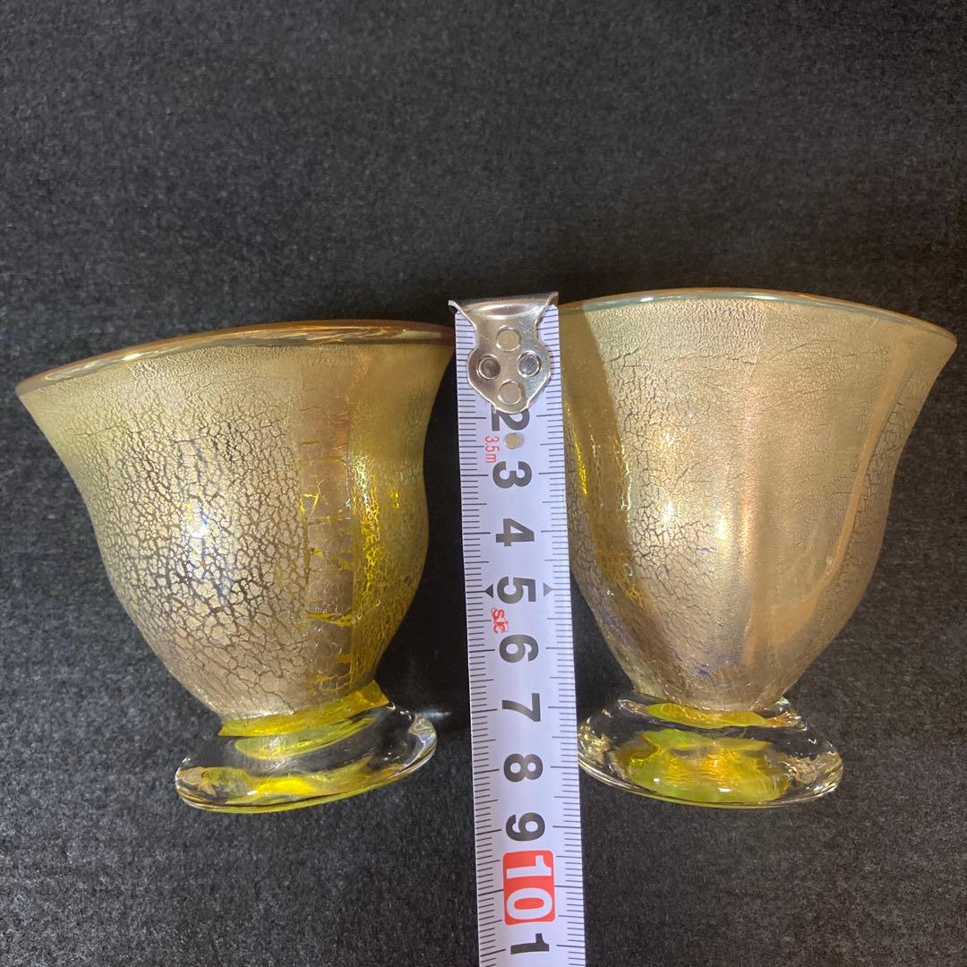 薩摩 宮澤裕明 吹きガラス 硝子 グラス ペアグラス