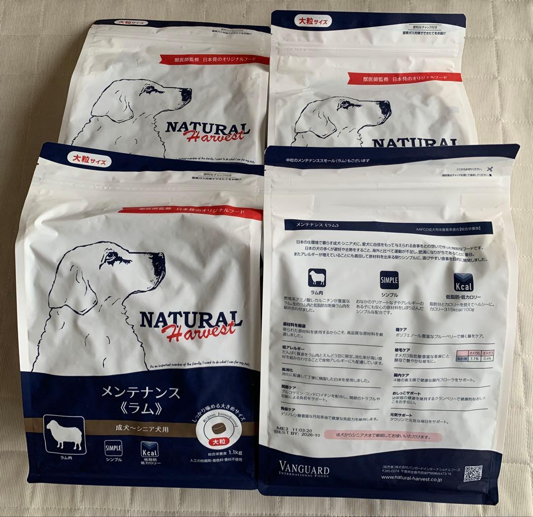 NATURAL メンテナンス ラム ドッグフード　大粒　4袋