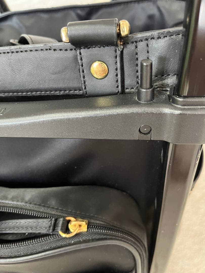 Swany 近沢レース　ショッピングカート