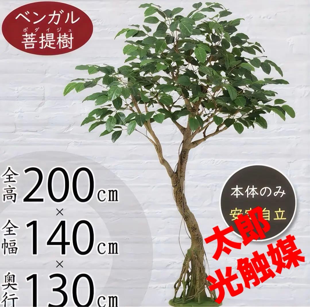 光触媒　人工観葉植物　フェイクグリーン　ベンガルボダイジュコアッド