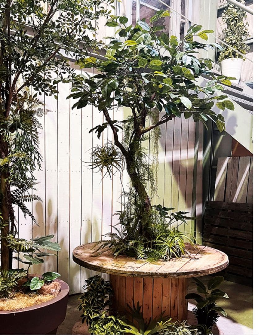 光触媒　人工観葉植物　フェイクグリーン　ベンガルボダイジュコアッド