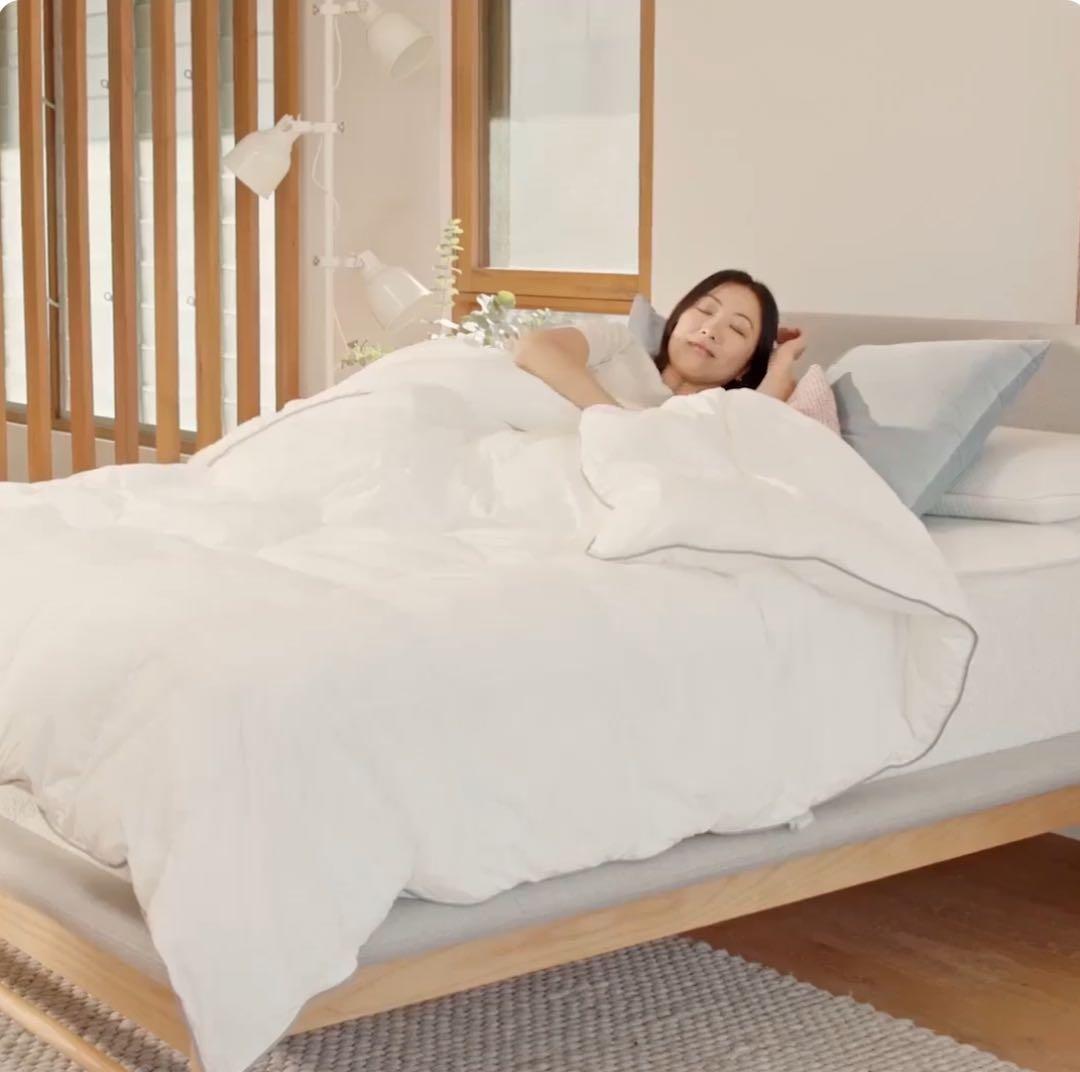 新品 コアラ掛け布団