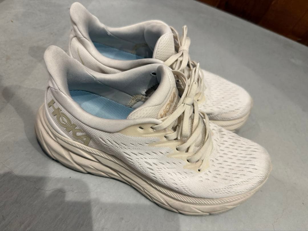 【バソクポッ志・ベルシジア】