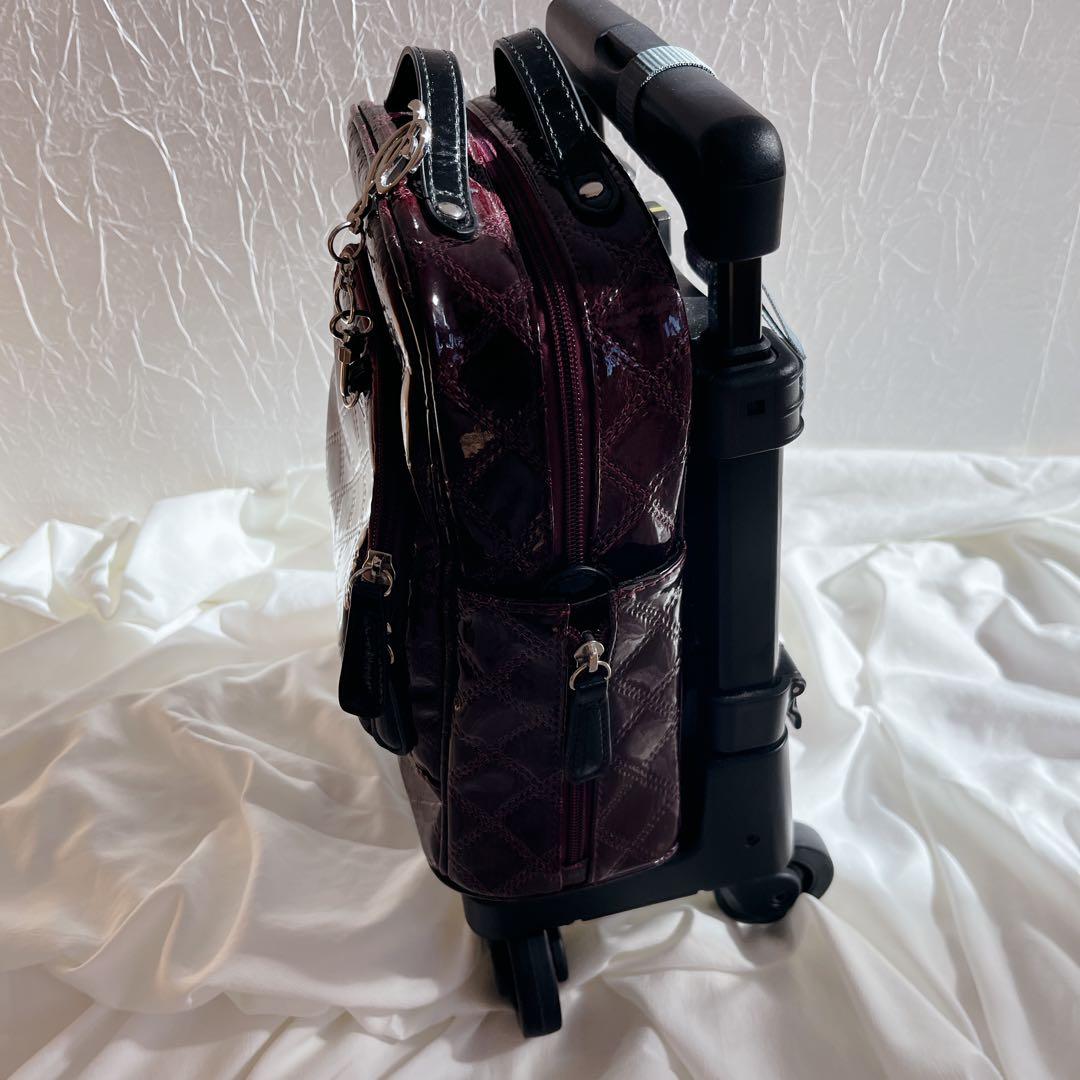 美品‼️SWANY スワニー エマイロ　ボルドー　キャリー　ショッピングバッグ