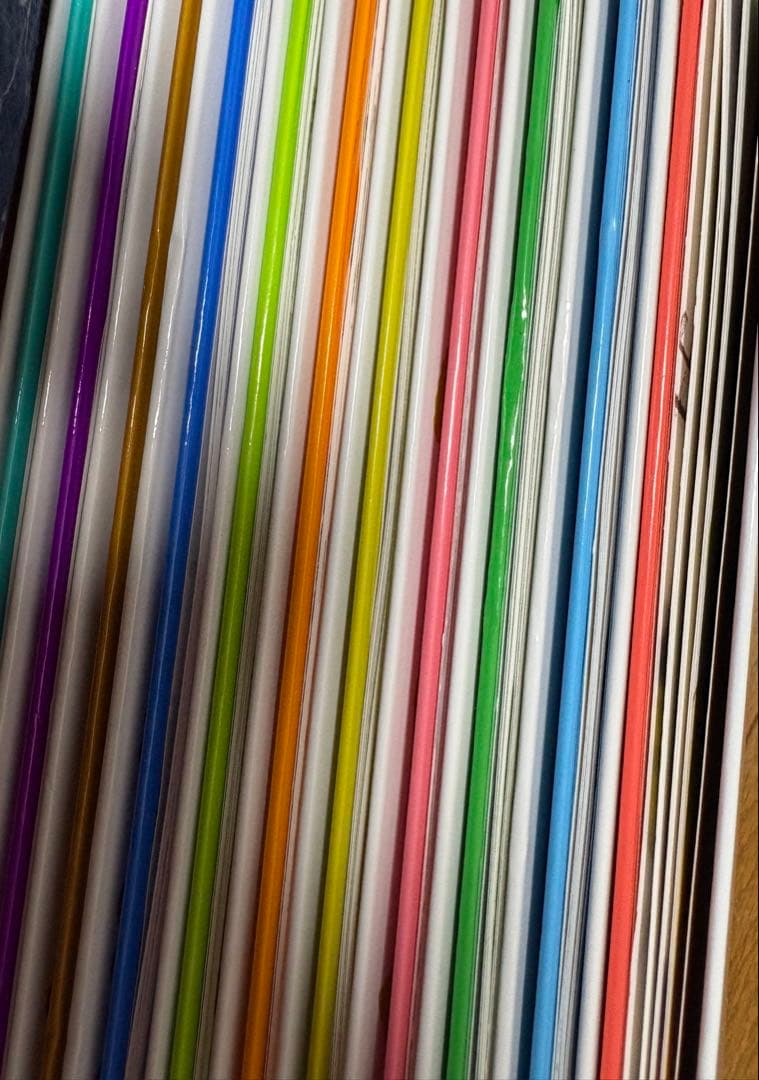 chanyama　いきものづくしものづくし 全12冊