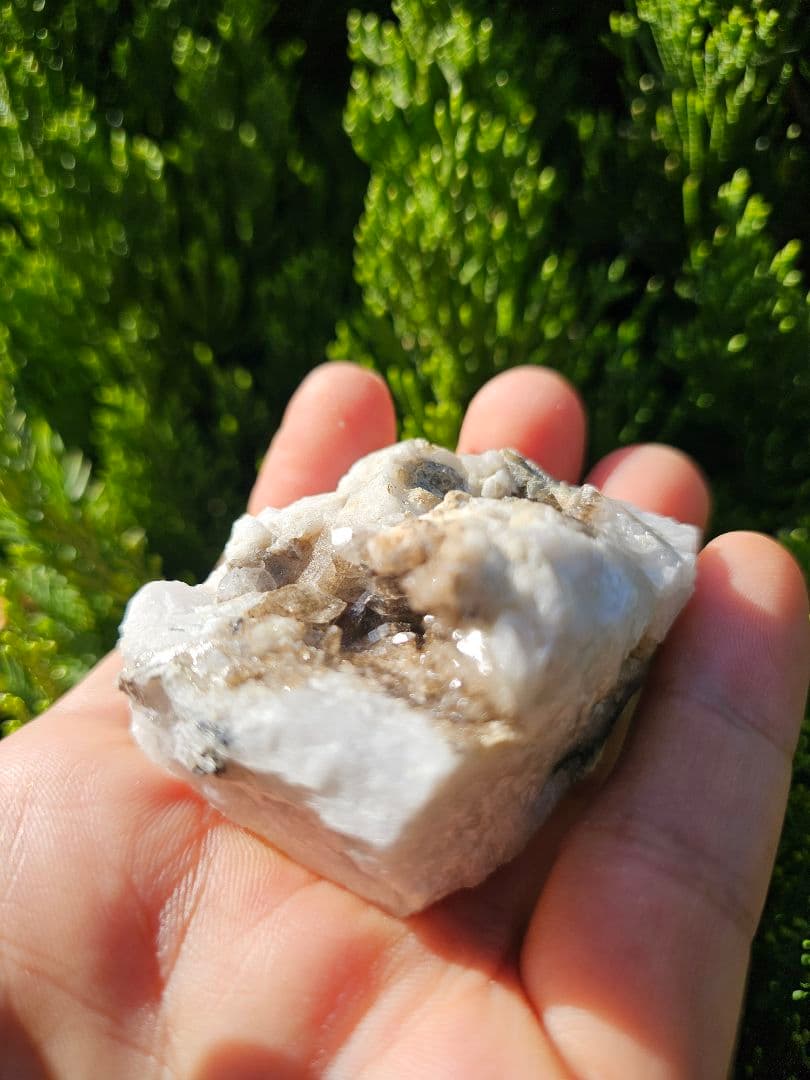 龍穴あり‼️アメリカ産 スモーキークォーツ ミニクラスター水晶