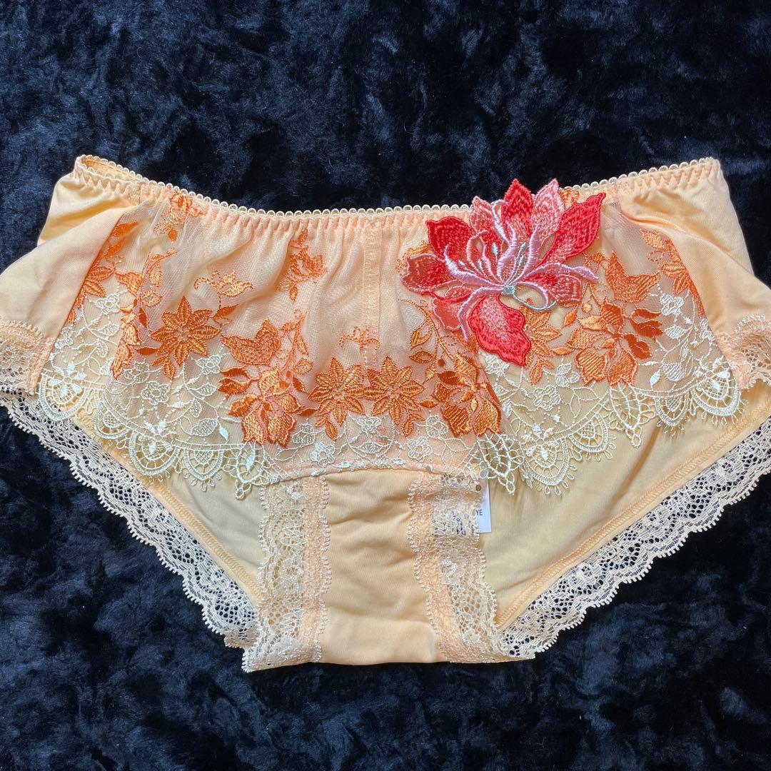 ワコール サルート93 : ブラG70 ソングL (ショーツL変更可) ⭐️新品