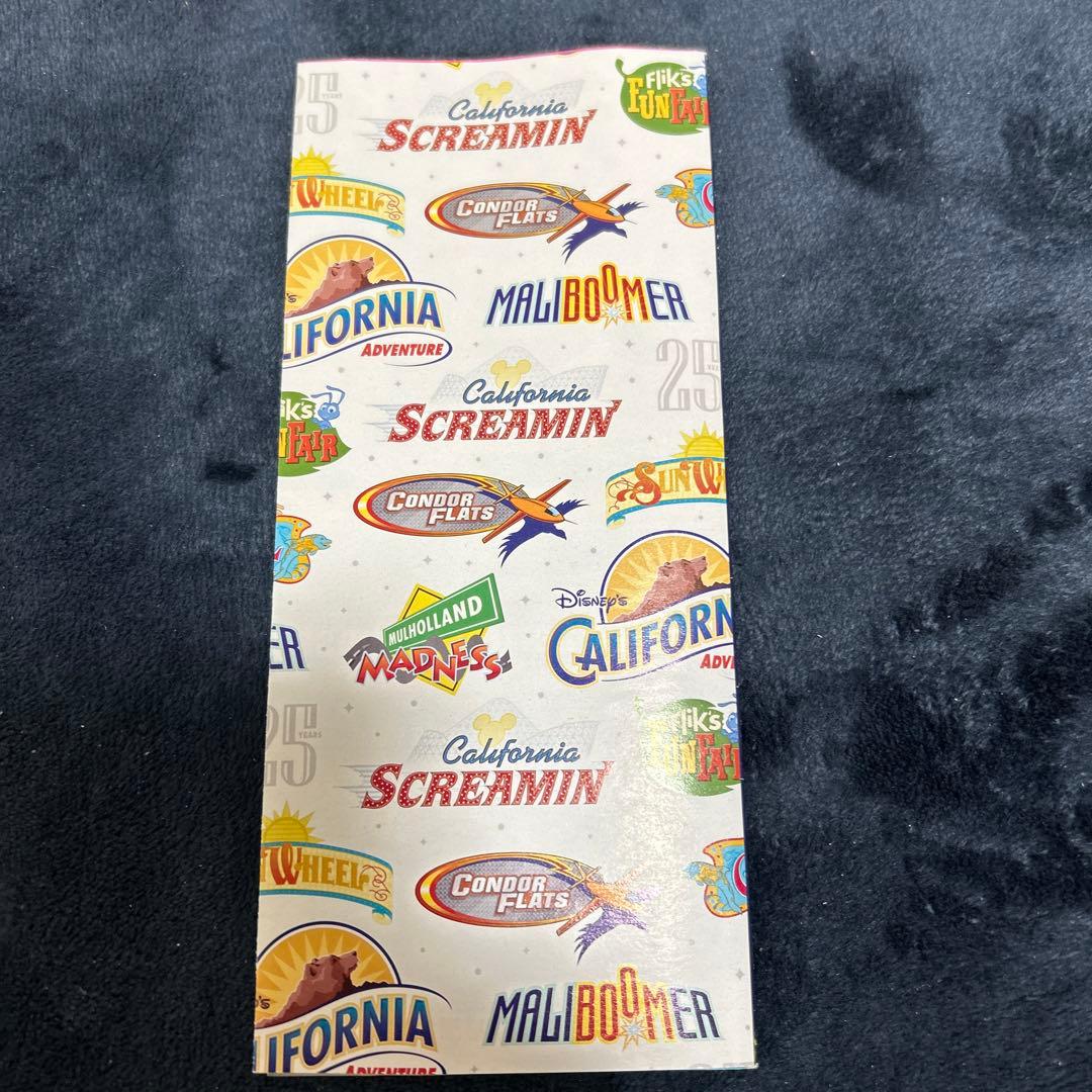 【限定パンフ付き】カリフォルニア　ディズニー　25周年　ポップコーンバケット