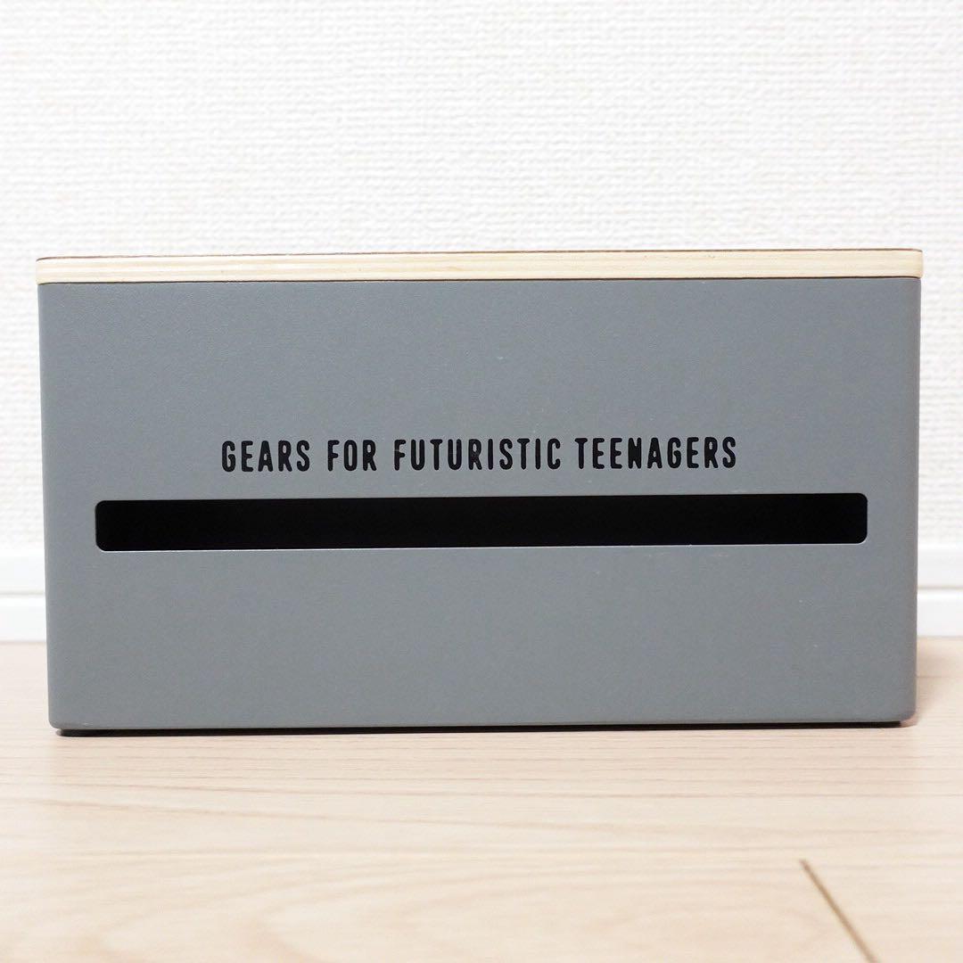 希少✤ DOUBLE SIDED TISSUE CASE COLOR: GRAY