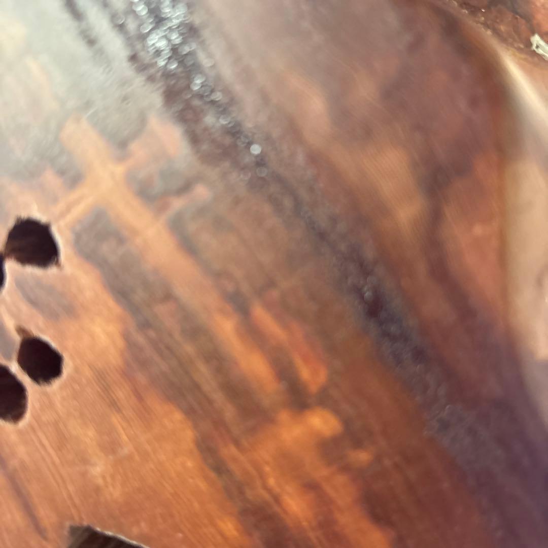 屋久杉輪切り　衝立