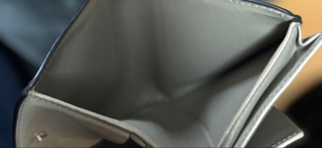 BALENCIAGA パイソン柄ミニ財布