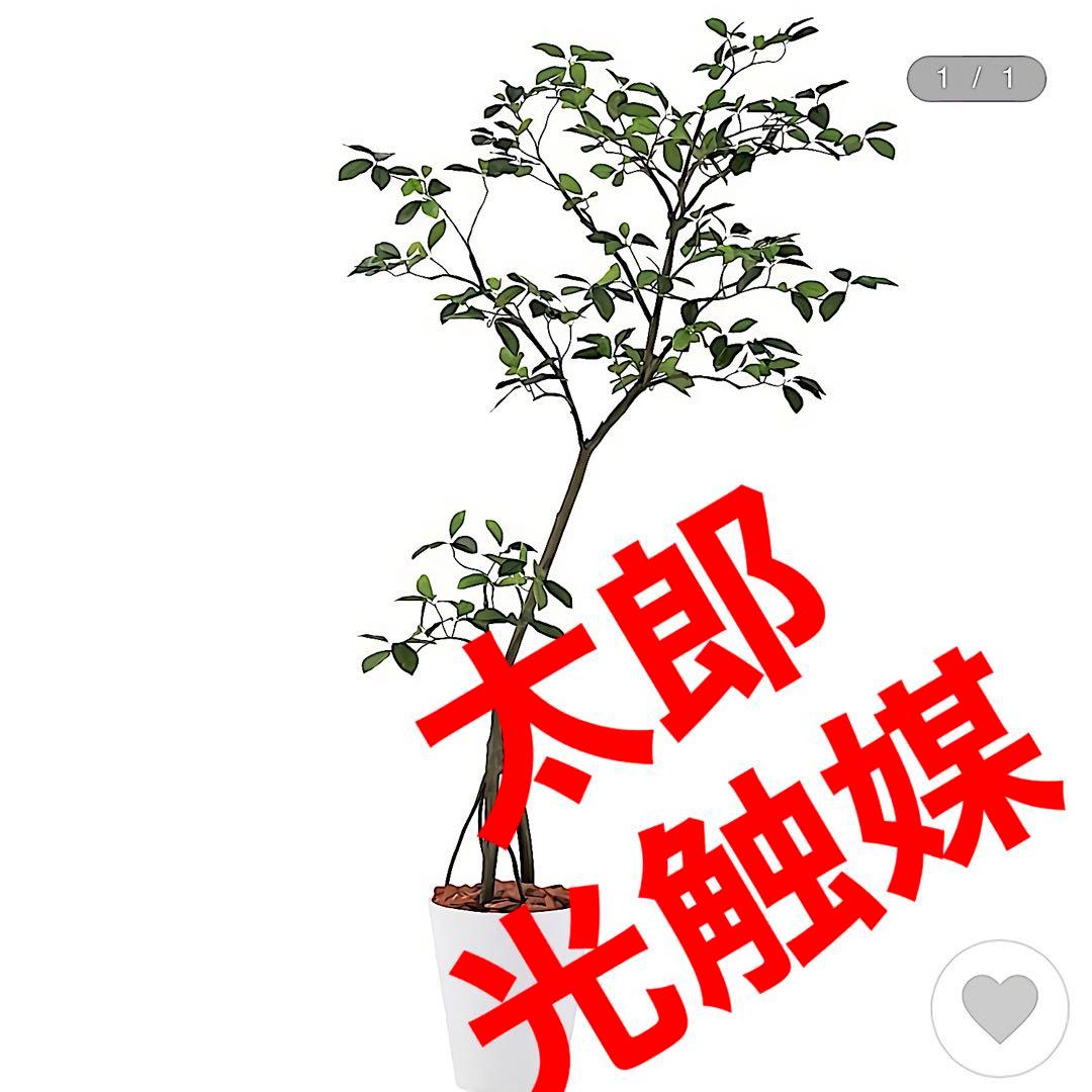 光触媒　人工観葉植物　ウォールグリーン　フェイクグリーン　ガジュマル150