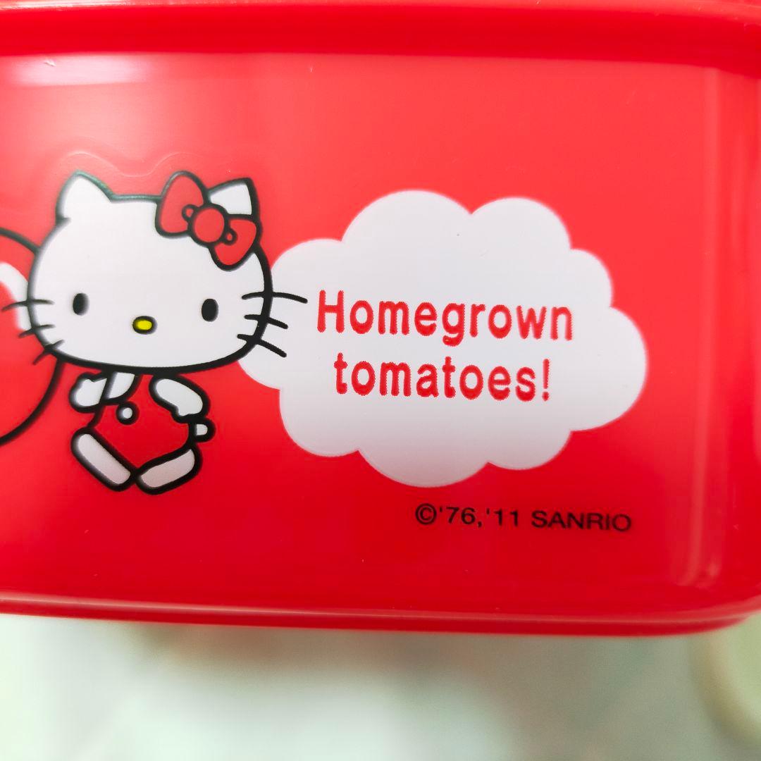HELLO KITTY 2011年製　ランチボックス　レトロ弁当箱　ピクニック