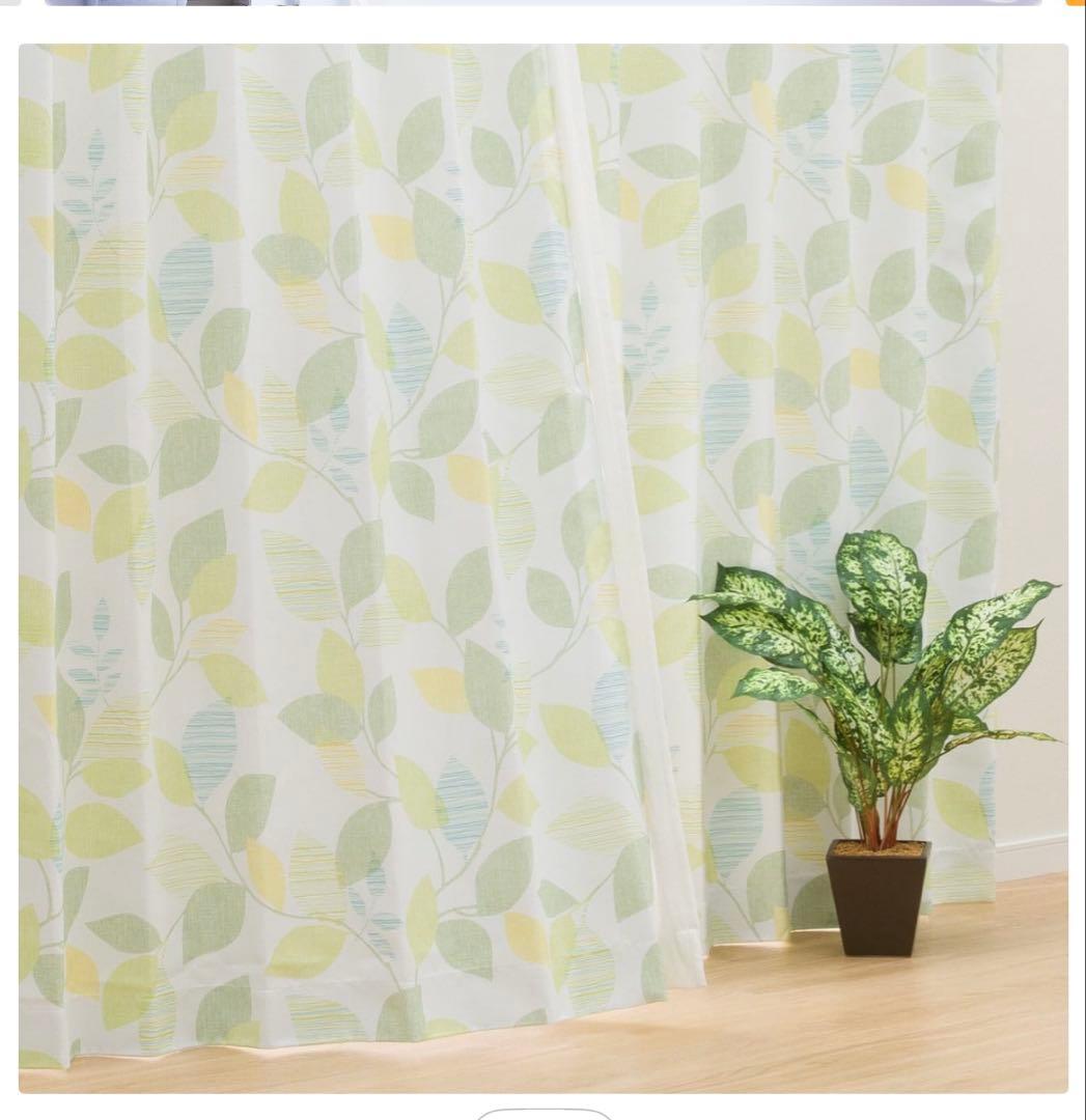 美品⭐︎早い者勝ち！ECOOASIS ニトリ 葉柄カーテン