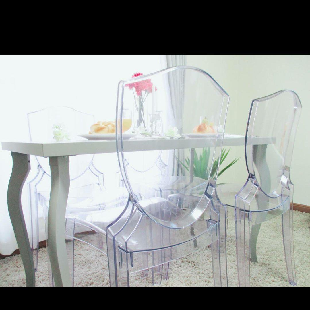 【単品/引取】屋内外兼用 スクーダリア　スケルトンチェア ゴーストチェア