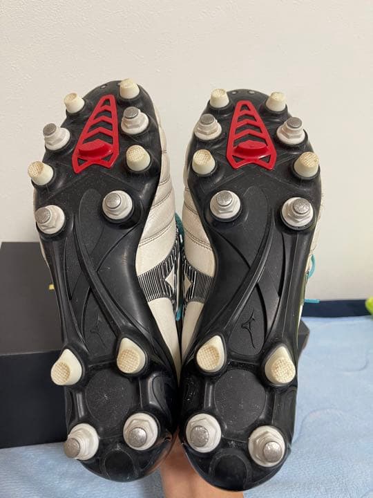 モレリアネオ3Japan MIX26センチ