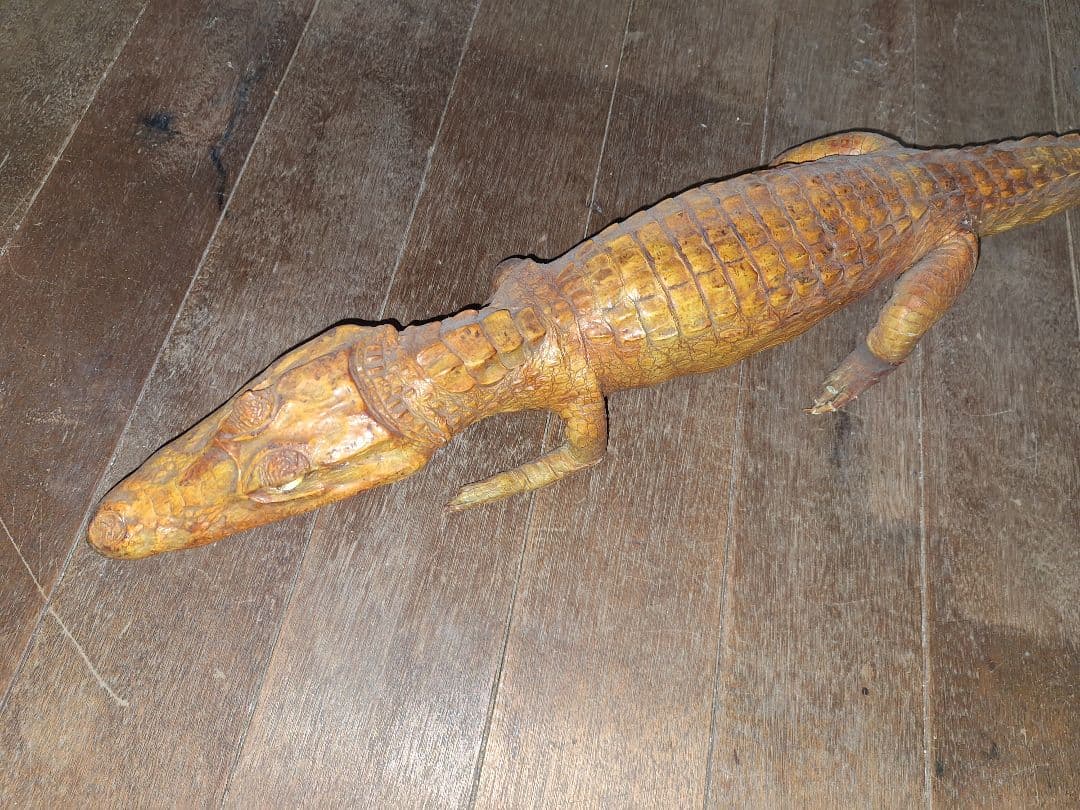 ワニ皮製ワニ型レイアウト用品 約60cm