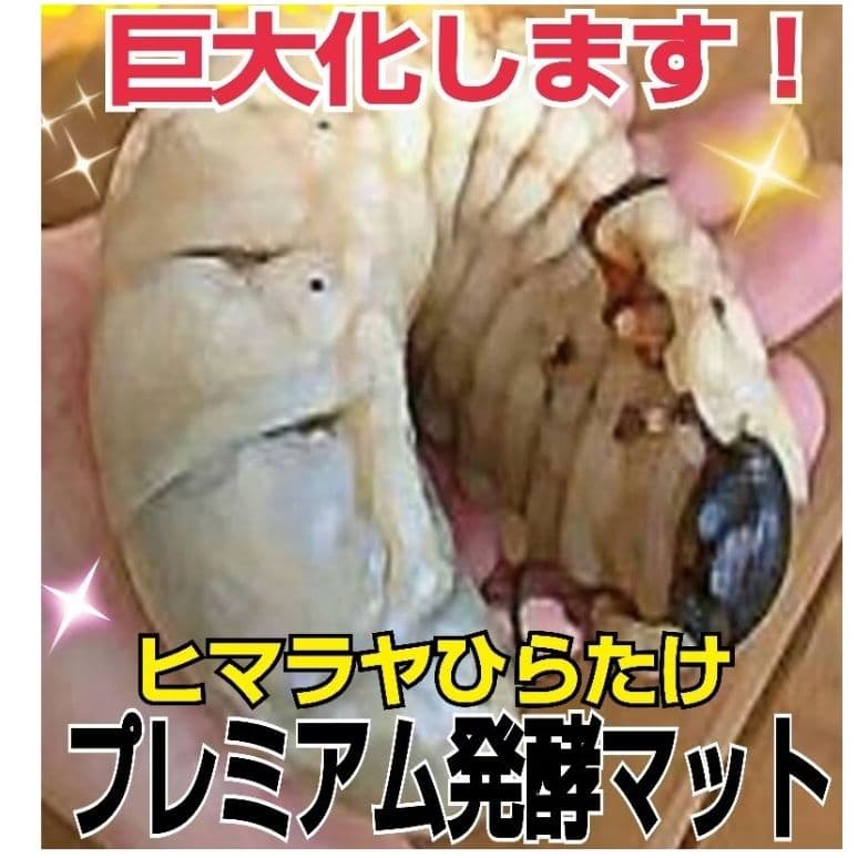 大好評！特選プレミアム3次発酵カブトムシマット【50L】特殊アミノ酸強化配合！