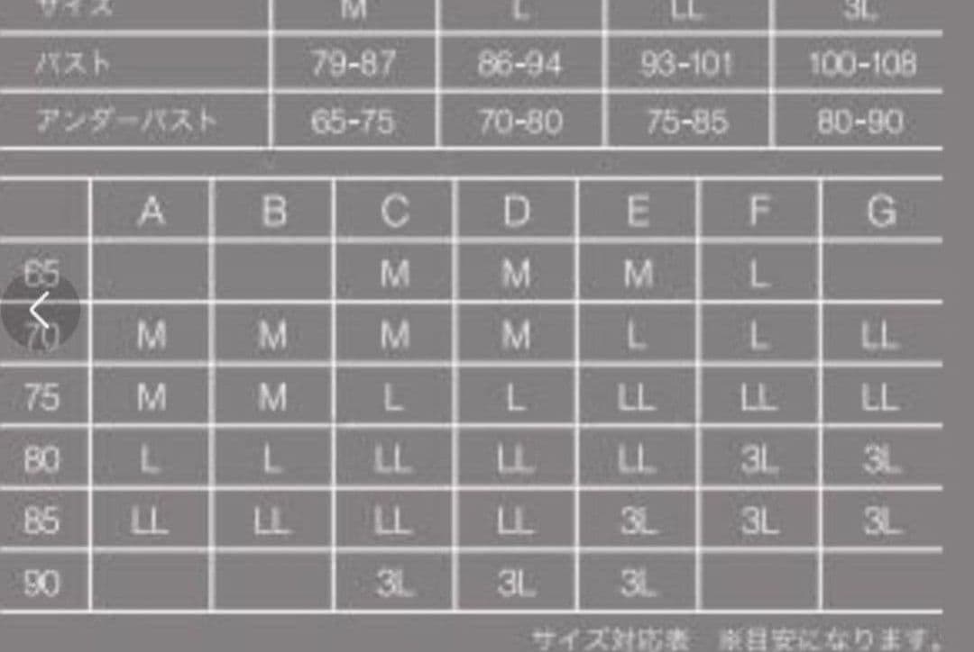 新品正規品　リッチメイクブラ　プウアボーテ　Lサイズ　光電子　ナイトブラ