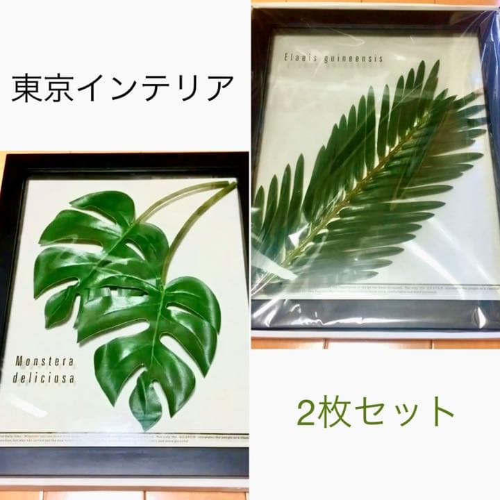 東京インテリア 壁掛け 2枚