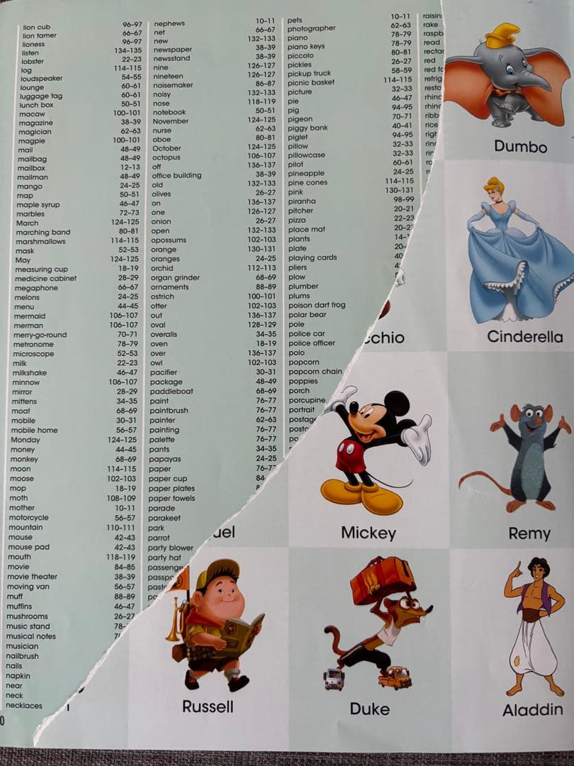 【りんか】DWE マジックペンセット、マジックペンアドベンチャー