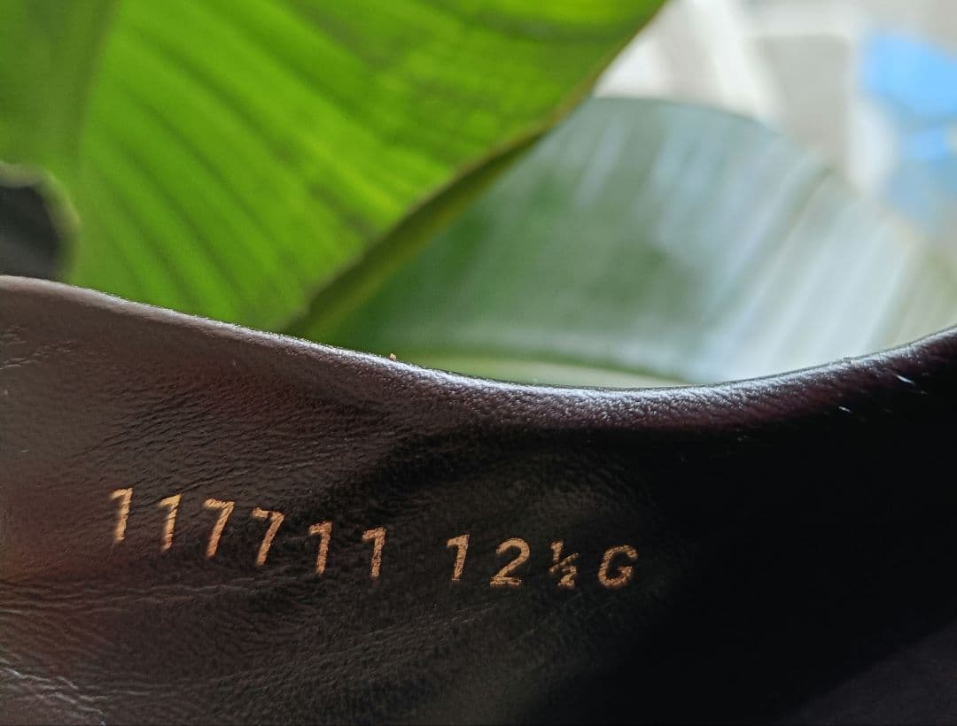 グッチ スニーカー GGキャンバス 31cm (12 1/2)