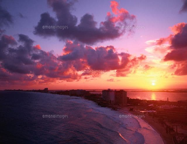 ✦ゆいとまんページ✦ クエルボ1800アネホ3本セット