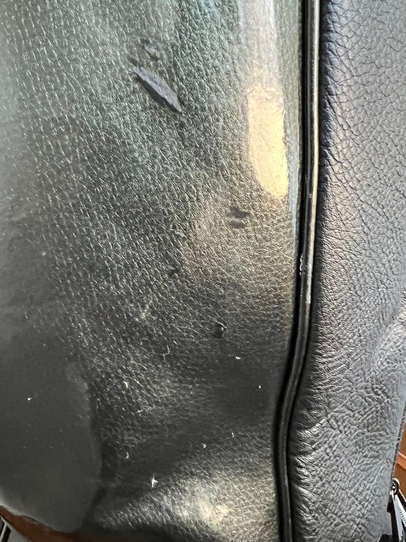 ラウドマウスシャガデリックシルバー刺繍柄ゴルフバッグ