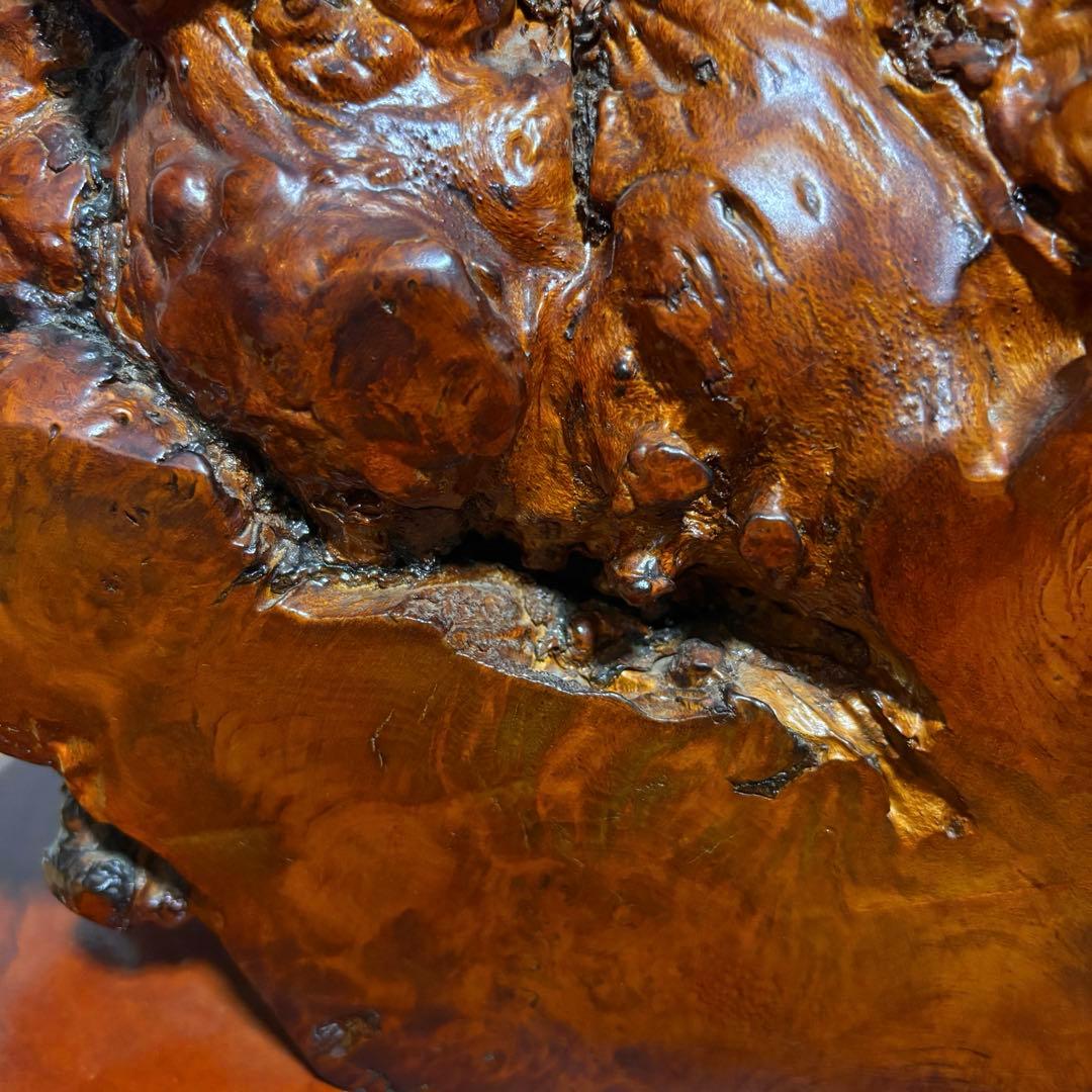 木の瘤　オブジェ　置物　天然木　自然木　木瘤　レア物　異形　インテリア　和風