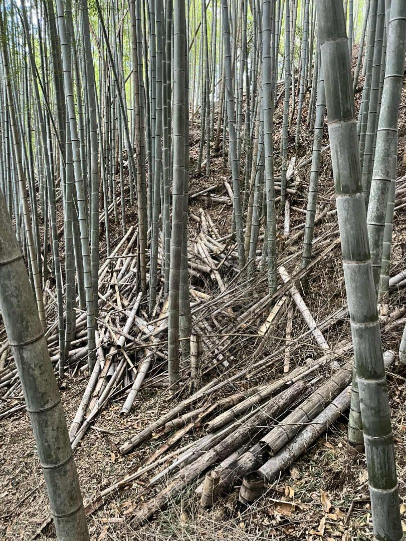 30kg米袋入り竹炭3袋(大粒)(粉ふるい済み)(120リットル)　大阪産