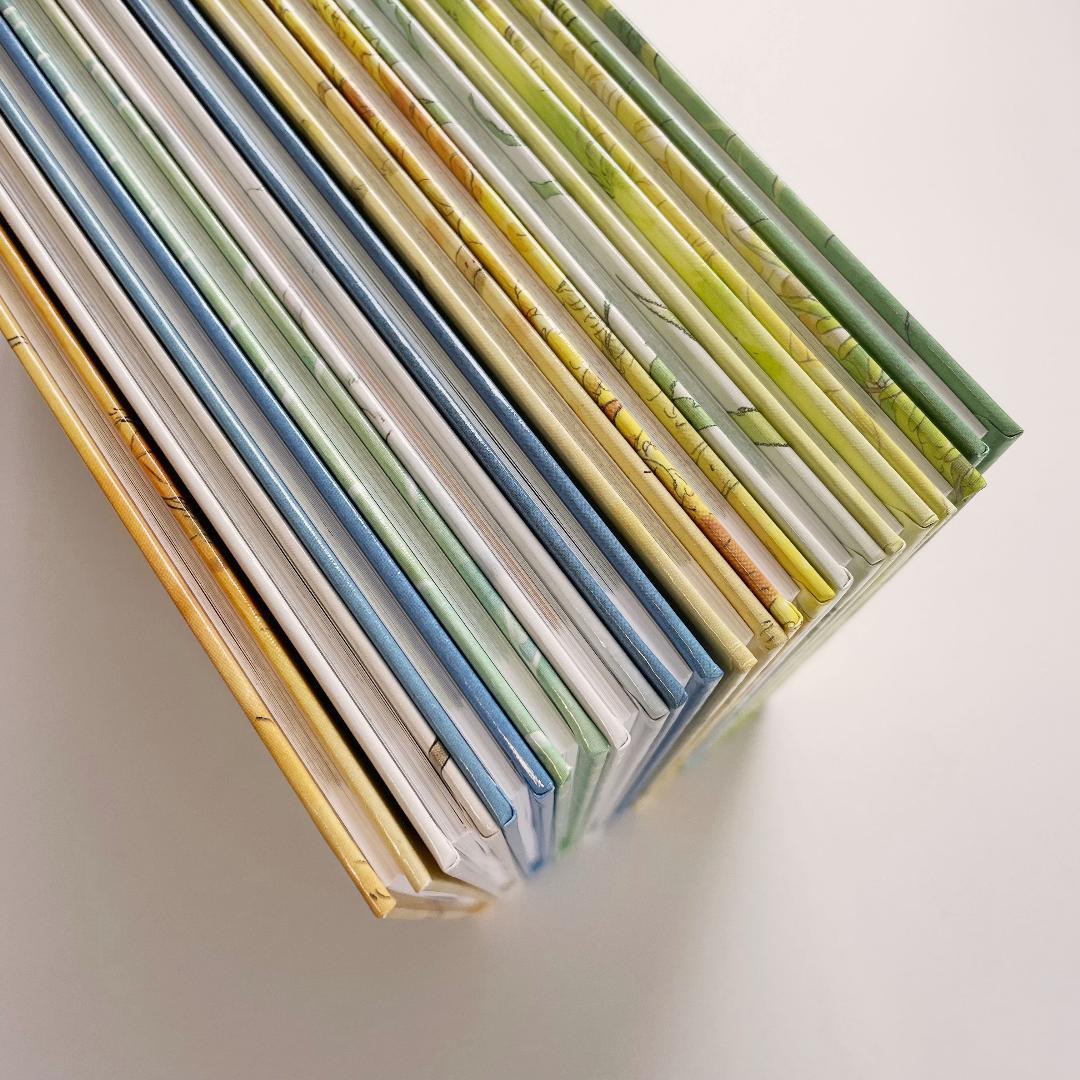 14ひきのシリーズ 12冊セット 美品　ボックス付き